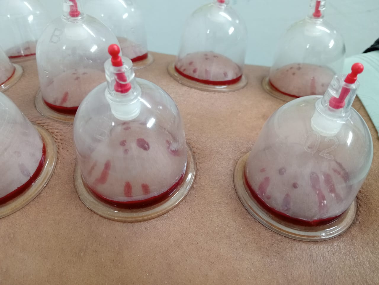 গ্যালারি ছবি ৪