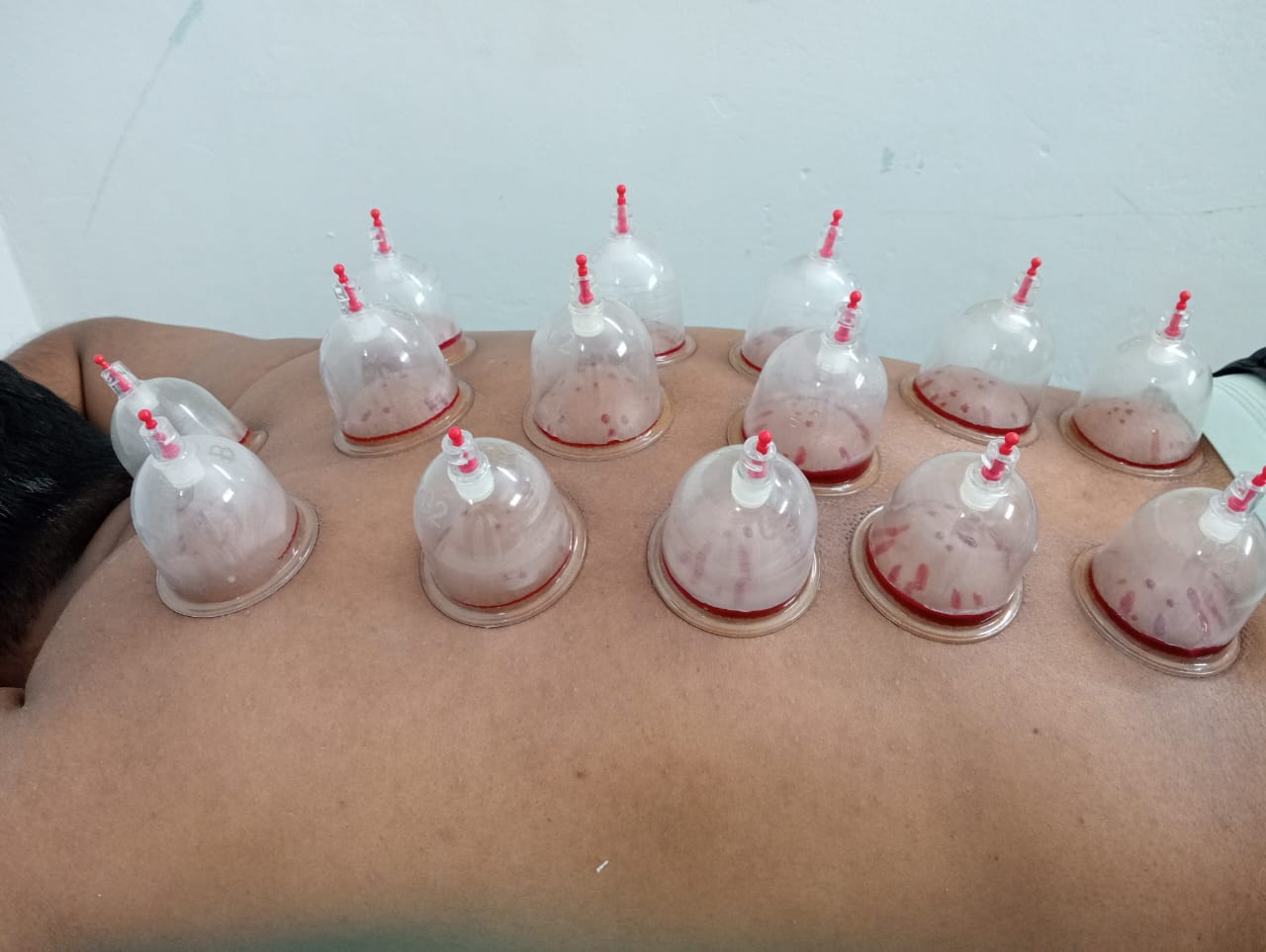 গ্যালারি ছবি ৫