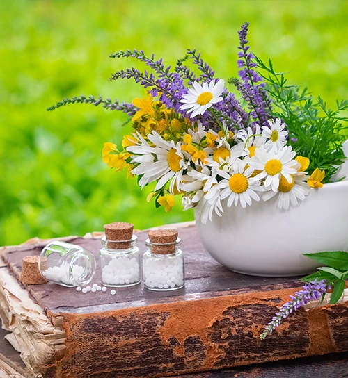 হোলিস্টিক ওয়েলনেস ক্যাম্পাস